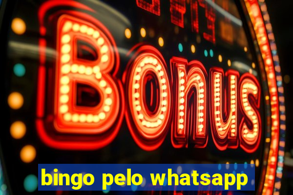 bingo pelo whatsapp